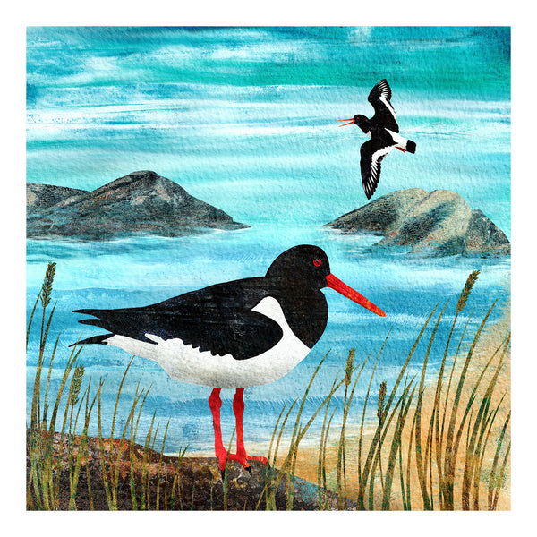Oystercatcher art print.  Giclée art print of two oystercatchers beside the sea in the mist of dawn.  Artwork by Barbara Jane Art & Design.