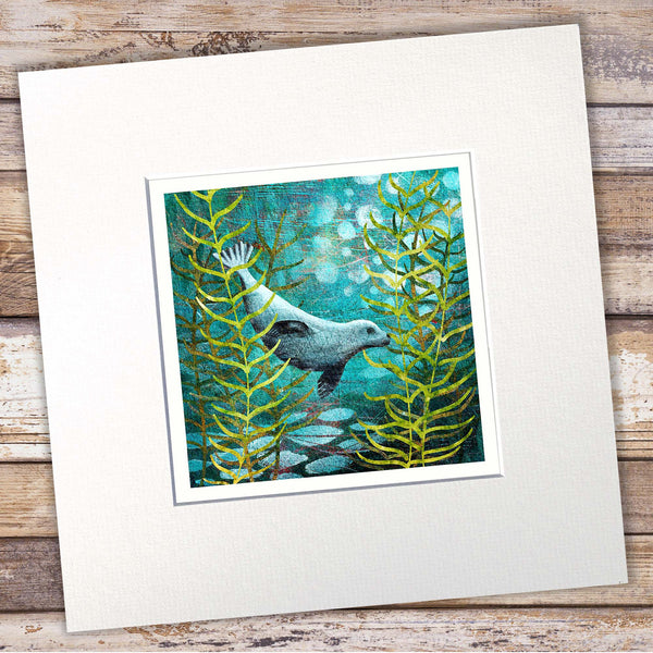 Seal Giclée Art Print - 'Harbour Seal' - Marine Collection