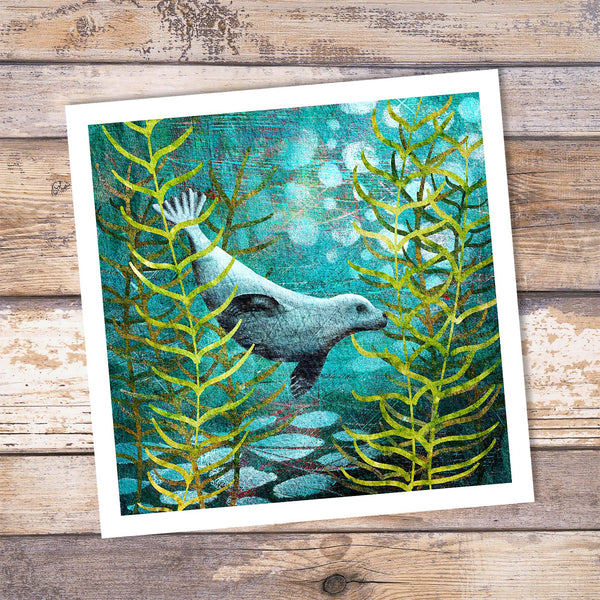 Seal Giclée Art Print - 'Harbour Seal' - Marine Collection