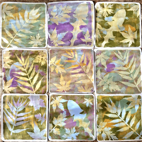 Spring Botanicals - gelli printing workshop @ Y Ty Celf Gallery, Fri 8th May 2026