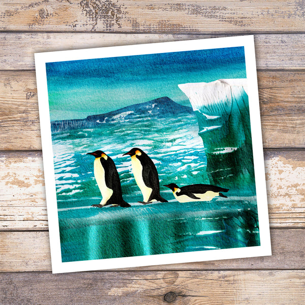 Illustration of emperor penguins on sea ice with a glacier by Barbara Jane Designs. 