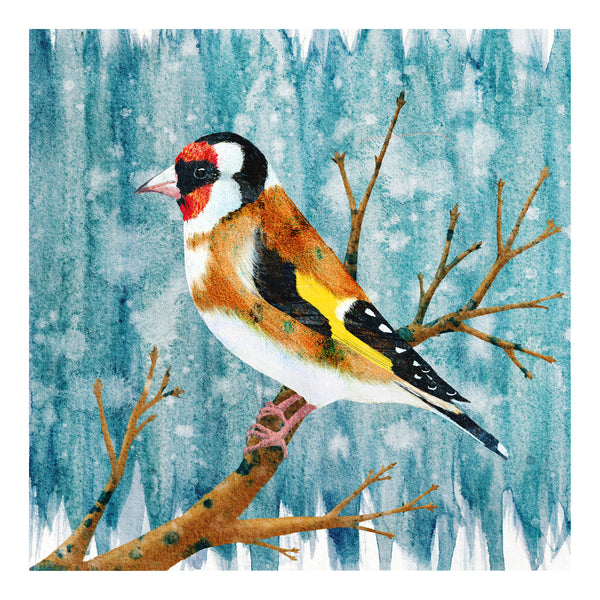 Giclée print of a handsome goldfinch on a branch with an abstract wintery watercolour background.  