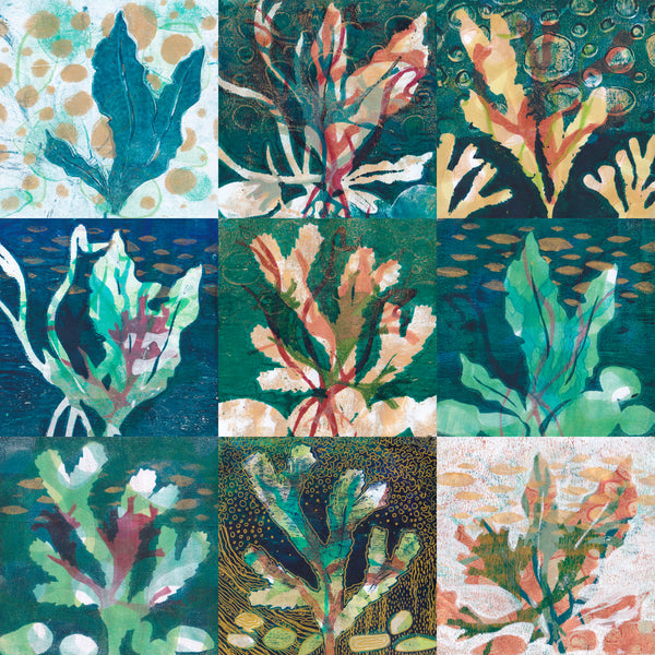 Seaweed and Sea Creatures - Gelli Printing Workshop @ Y Ty Celf Gallery, Mon 3rd Aug 2026