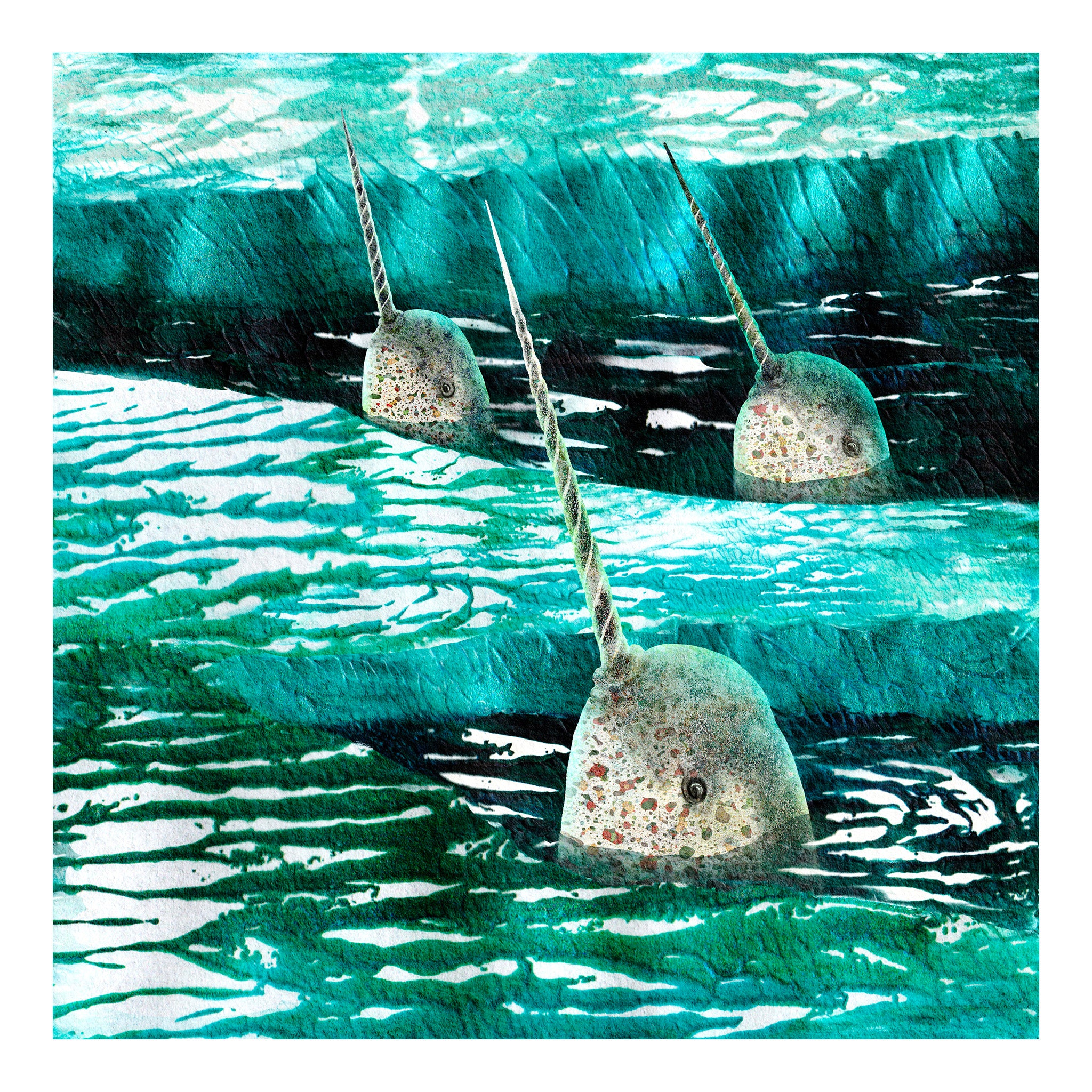 Giclée art print of three narwhals coming up for air among the sea ice. By Barbara Jane Art & Design. 