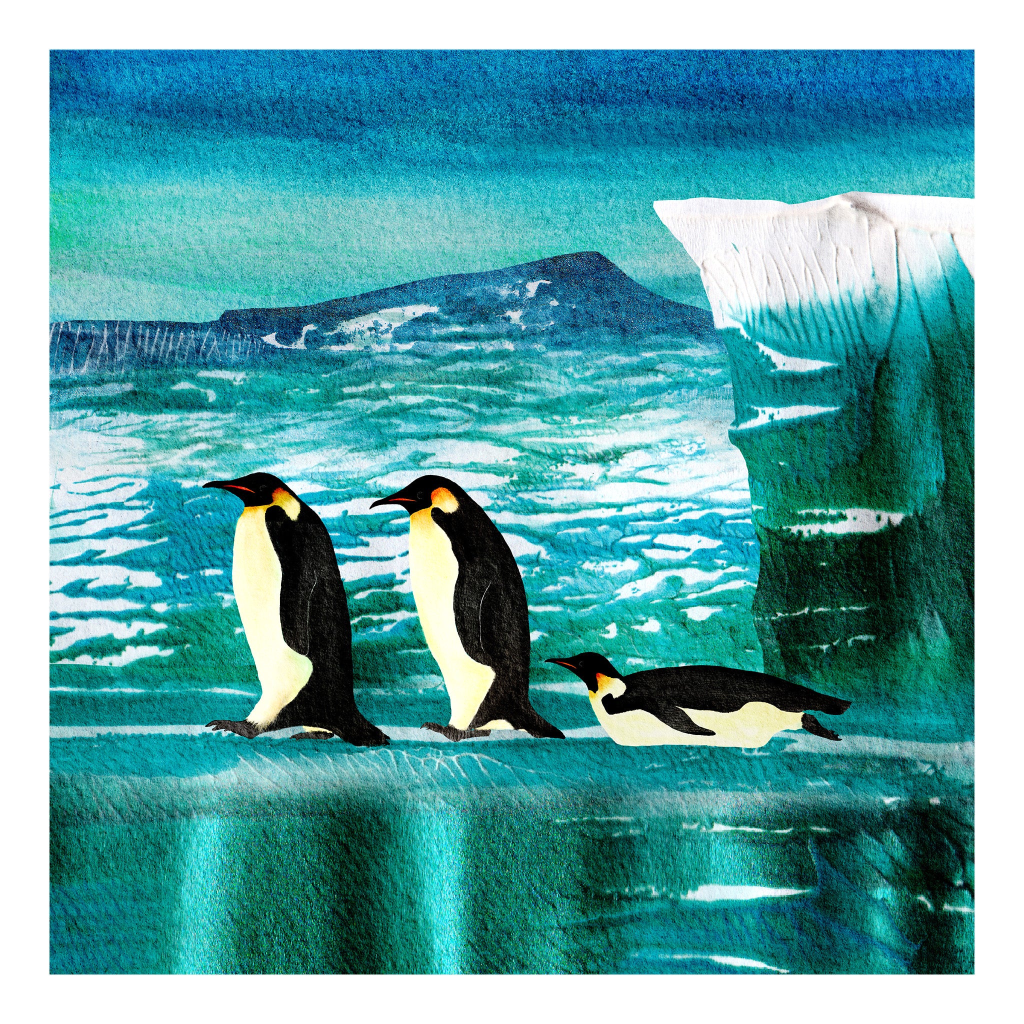 Three Emperor penguins marching and sliding across sea ice with a glacier. Artwork by Barbara Jane Art & Design. 