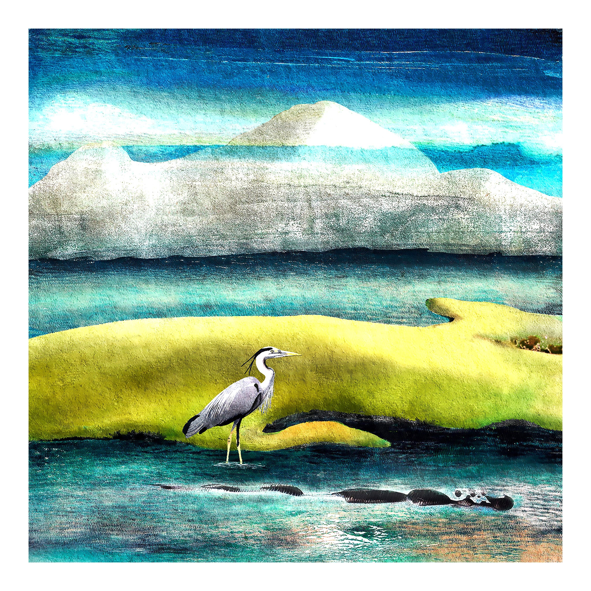 Heron Giclée Art Print - 'An Elegant Heron'