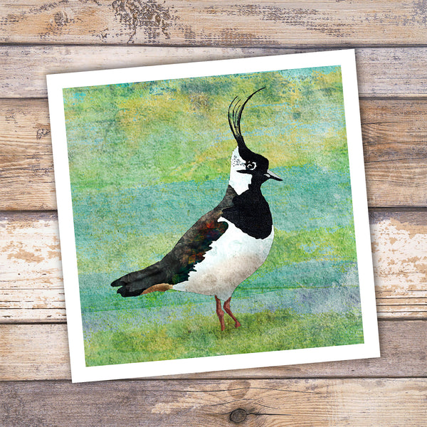 Lapwing Giclée Art Print - 'Handsome in the Water Meadow'