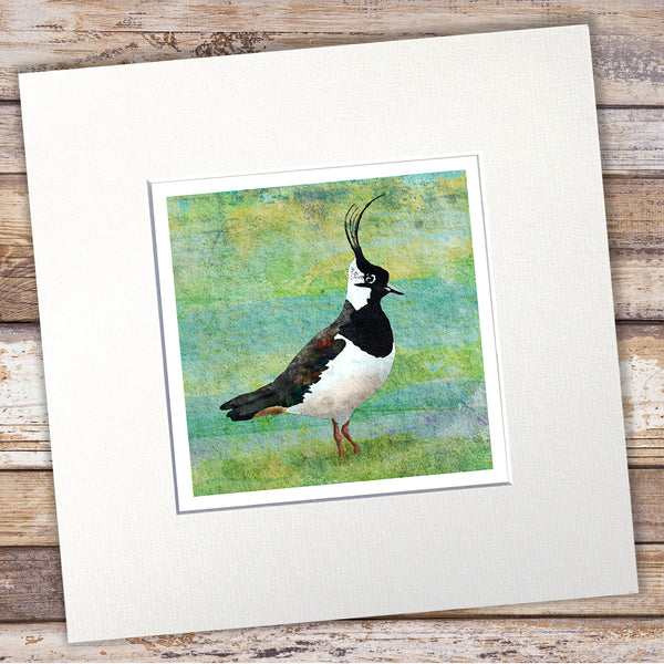 Lapwing Giclée Art Print - 'Handsome in the Water Meadow'