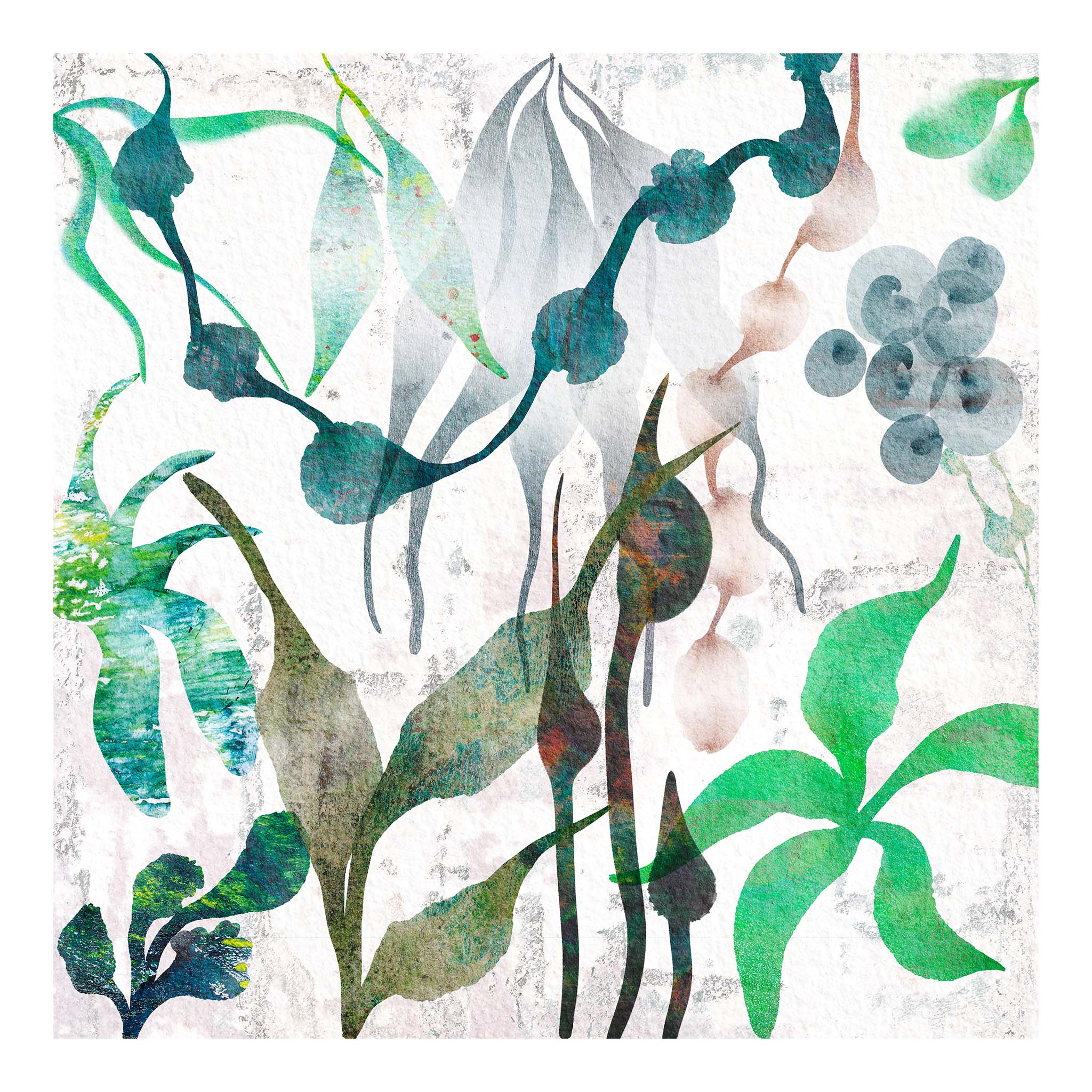 Abstract Floral Art Print - tropical / seaweed theme – Barbara Jane Art and  Design