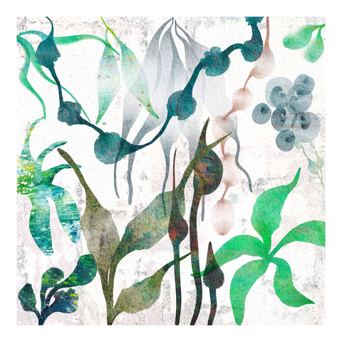 Botanical design in subtle colours, green and pink. Created using printmaking and digital collage techniques. Giclée art print from the Abstract Floral Collection by Barbara Jane Art & Design. BarbaraJaneDesigns.co.uk. Available as 8x8" and 12x12" art prints.
