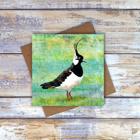 Lapwing greetings card / note card.  Perfect birthday card for a bird lover.  Handsome lapwing with an abstract water meadow background.  Artwork by Barbara Jane Art & Design. 
