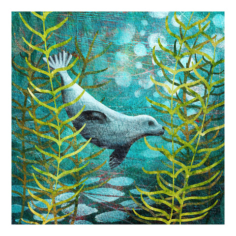 Harbour (common) seal swimming among a kelp forest. Giclée art print from the Marine Collection by Barbara Jane Art & Design. BarbaraJaneDesigns.co.uk. Available as 8x8" and 12x12" art prints.