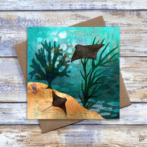 Ocean Rays Greetings Card.  Marine art with cownose rays gliding amoung seaweed.  Great birthday card for ocean life lover. Art by Barbara Jane Art & Design.